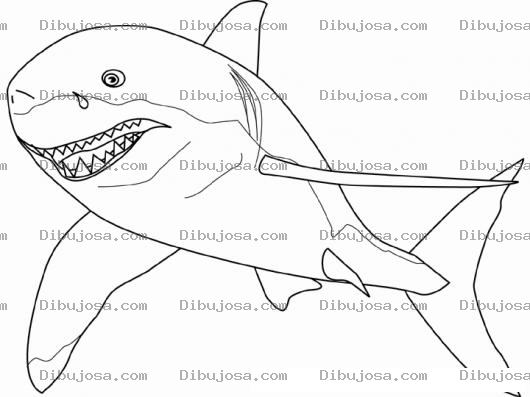 Dibujo para colorear Dibujo Del Gran Tiburon Blanco Con Una Sonrisa Malvada Para Pintar Y Colorear