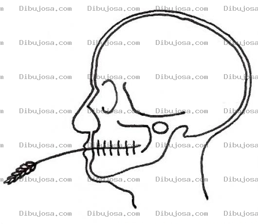 Dibujo para colorear Rayos X De Cabeza Para Pintar Y Colorear