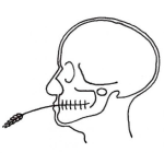 Dibujo para colorear Rayos X De Cabeza Para Pintar Y Colorear