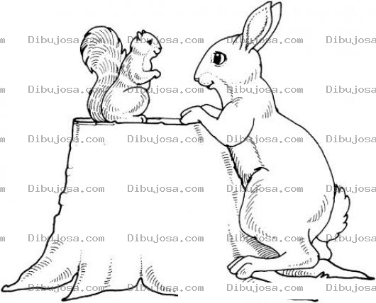 Dibujo para colorear Dibujo De Ardilla Y Conejo Para Pintar Y Colorear