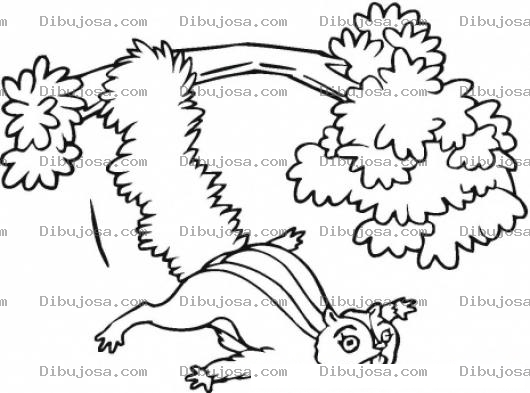 Dibujo para colorear Dibujo De Ardilla Volando Saltando De Una Rama Para Pintar Y Colorear