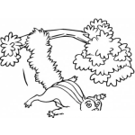 Dibujo para colorear Dibujo De Ardilla Volando Saltando De Una Rama Para Pintar Y Colorear