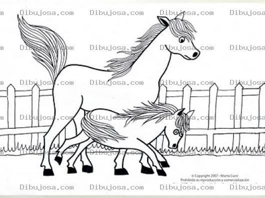 Dibujo para colorear mama caballo e hijo para colorear