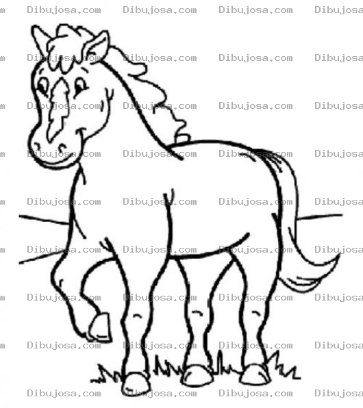 Dibujo para colorear caballo para colorear