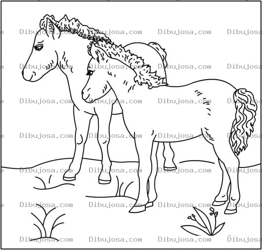 Dibujo para colorear cabvallos colochos para colorear