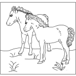 Dibujo para colorear cabvallos colochos para colorear