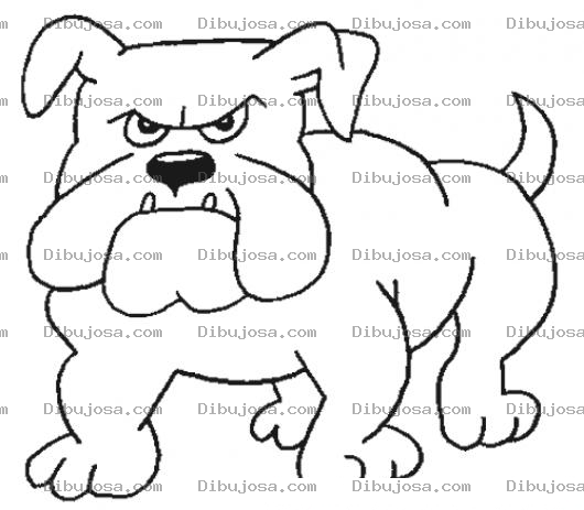 Dibujo para colorear Ibujo De Bulldog Bravo Para Pintar Y Colorear