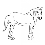Dibujo para colorear caballo de pelo medio para colorear