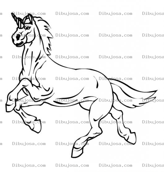 Dibujo para colorear caballo unicornio para pintar