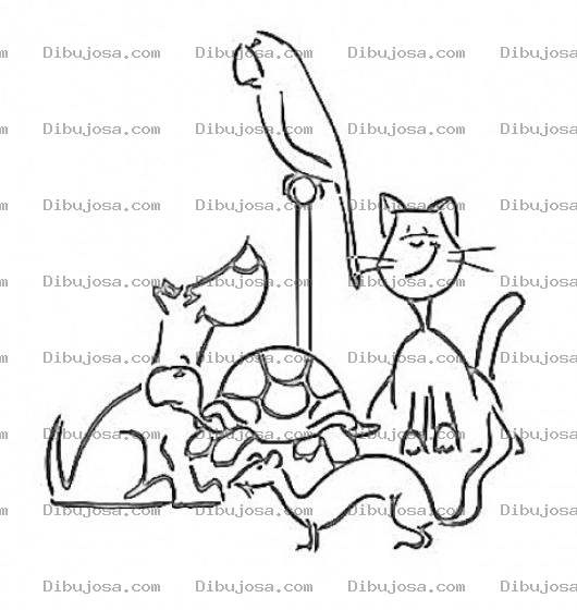 Dibujo para colorear Dibujo De Mascotas Para Pintar Y Colorear