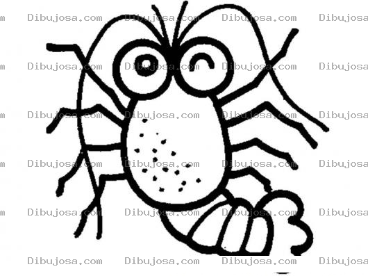 Dibujo para colorear Dibujo De Langosta Narigona Para Pintar Y Colorear