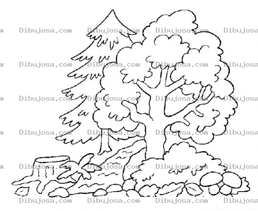 Dibujo para colorear Dibujo De Bosque Talado Para Pintar Y Colorear Arboles Del Bosque