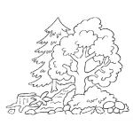 Dibujo para colorear Dibujo De Bosque Talado Para Pintar Y Colorear Arboles Del Bosque