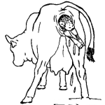 Dibujo para colorear Dibujo Del Parto De Una Vaca Para Pintar Y Colorear
