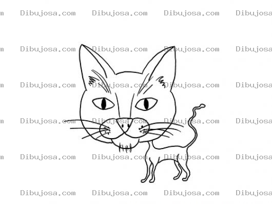Dibujo para colorear Dibujo De Gato Raquitico Y Escualido Para Pintar Y Colorear Gato Con Cuerpo Chiquito