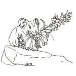 Dibujo para colorear Raton Con Flores Para Pintar Y Colorear