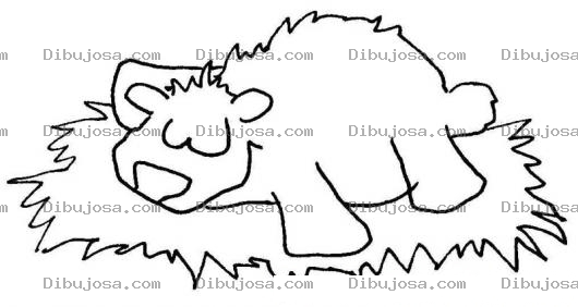 Dibujo para colorear Dibujo De Oso Durmiendo En Una Alfombra Para Colorear
