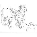Dibujo para colorear Dibujo De Caballos Peludos Con Snowman Para Colorear