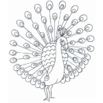 Dibujo para colorear Pfau Malvorlagen
