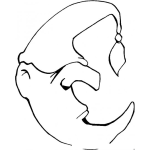 Dibujo para colorear Dibujo De La Luna Durmiendo Para Pintar Y Colorear