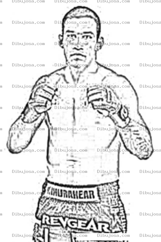 Dibujo para colorear Fabricio Werdum Mma Dibujo Para Pintar Y Colorear A Fabriciowerdum