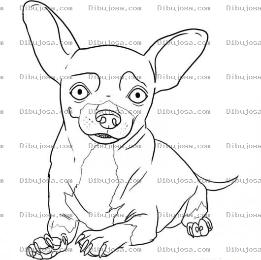 Dibujo para colorear Yo Quiero Taco Bell Dibujo Del Perro De Tacobell Para Pintar Y Colorear