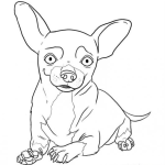 Dibujo para colorear Yo Quiero Taco Bell Dibujo Del Perro De Tacobell Para Pintar Y Colorear
