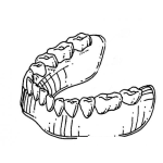 Dibujo para colorear Dibujo De Dentadura Inferior Para Pintar Y Colorear Placa De Dientes