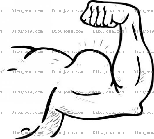 Dibujo para colorear Dibujo De Bicep Grande Para Pintar Y Colorear Brazo Con Musculos