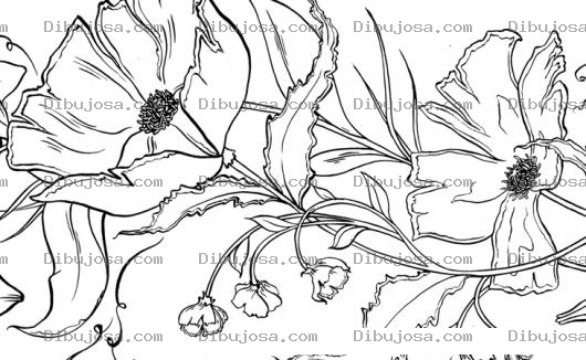 Dibujo para colorear Colorear Flores De Cerca