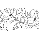 Dibujo para colorear Colorear Flores De Cerca