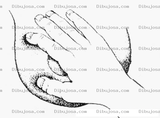 Dibujo para colorear Cancer De Mama Dibujo Del Examen De Cancer De Mama Y Quistes En Pechos precio a una mamografia Para Pintar Y Colorear