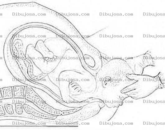 Dibujo para colorear Parto Normal Dibujo Del Nacimiento De Un Bebe Por La Via Normal Sin Complicaciones Sin Cesarea y sin Anestesia General Para Pintar Y Colorear
