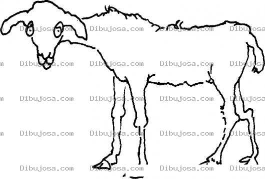 Dibujo para colorear Lana De Oveja Dibujo De Oveja Flaca Sin Lana Para Pintar Y Colorear