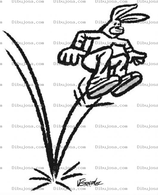Dibujo para colorear El Salto Del Conejo Para Pintar Y Colorear Un Conejo Saltando