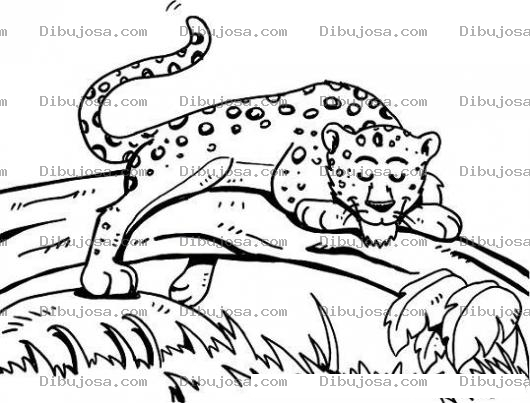 Dibujo para colorear Dibujo De Leopardo Durmiendo En El Tronco De Un Arbol Para Pintar Y Colorear