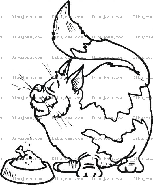 Dibujo para colorear Dibujo De Gato Gordo Y Obeso Para Pintar Y Colorear