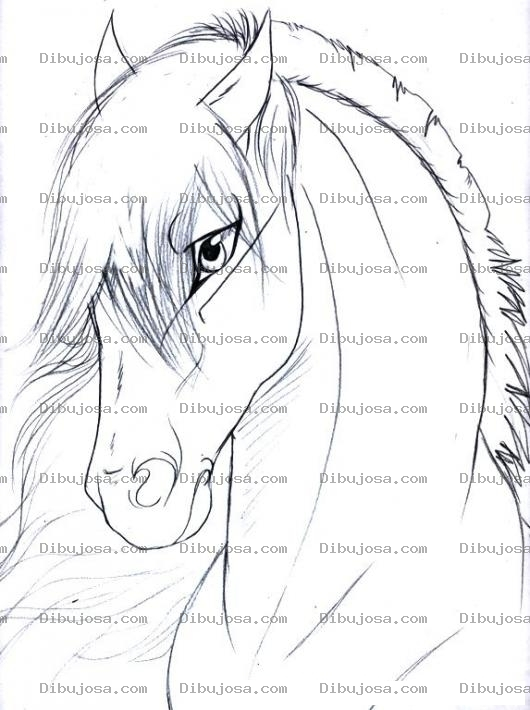 Dibujo para colorear Perfil De Caballo Elegante Para Pintar Y Colorear