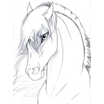 Dibujo para colorear Perfil De Caballo Elegante Para Pintar Y Colorear