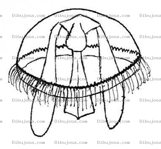 Dibujo para colorear Dibujo De Medusa Del Mar Para Pintar Y Colorear Jellyfish