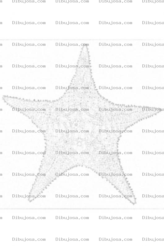 Dibujo para colorear Estrella De Mar Para Colorear Y Pintar