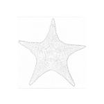 Dibujo para colorear Estrella De Mar Para Colorear Y Pintar