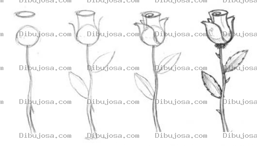 Dibujo para colorear Como Dibujar Una Rosa En 4 Pasos Dibujo De Una Rosa Facil De Hacer