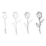 Dibujo para colorear Como Dibujar Una Rosa En 4 Pasos Dibujo De Una Rosa Facil De Hacer