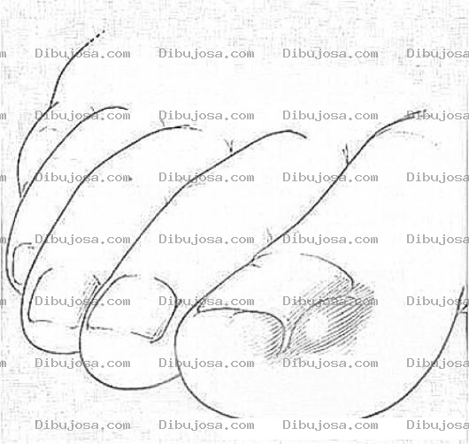 Dibujo para colorear Dibujo De Una Encarnada Para Pintar Y Colorear Unaencarnada En El Dedo Gordo Del Pie