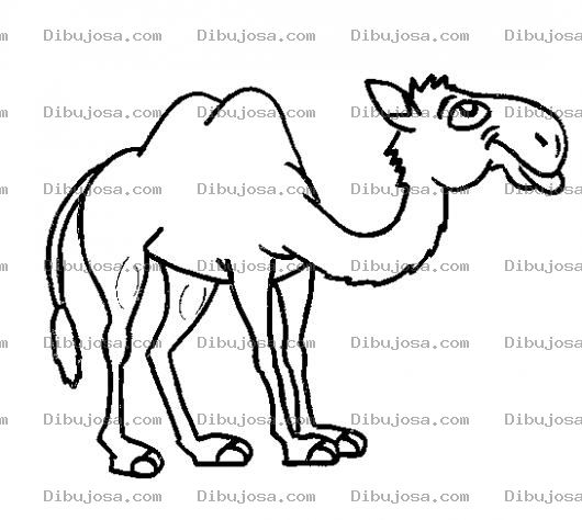 Dibujo para colorear Dibujo De Camello Para Pintar Y Colorear