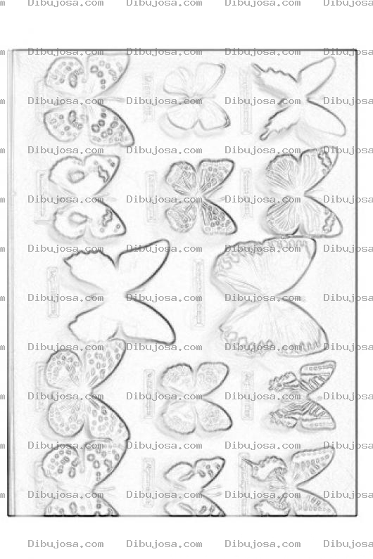 Dibujo para colorear Colorear Todos Los Tipos De Mariposas Del Mundo