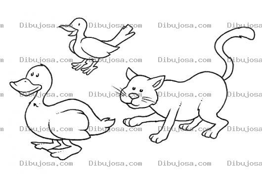 Dibujo para colorear Pato Pajaro Y Gato Para Puntar Y Colorear