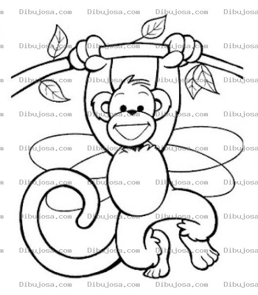 Dibujo para colorear Mono Colgando De Una Rama Para Pintar Y Colorear Mico Con Alas De Libelula