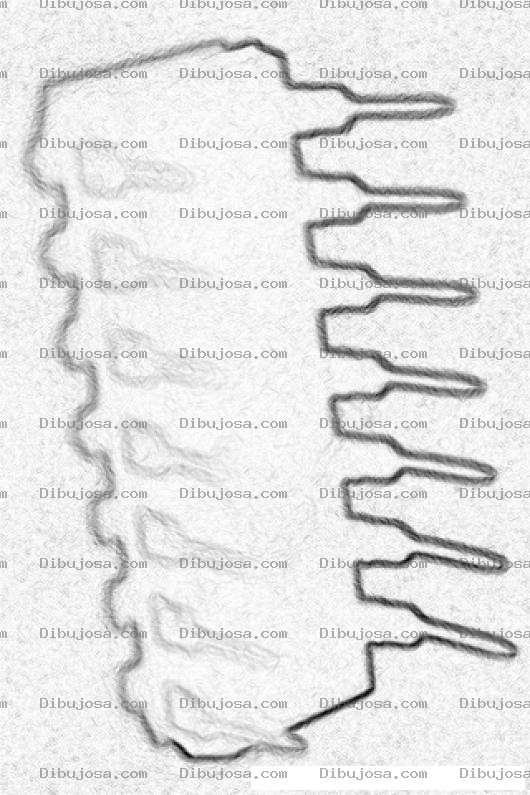 Dibujo para colorear Colorear Chip Circuito Integrado Para Pintar